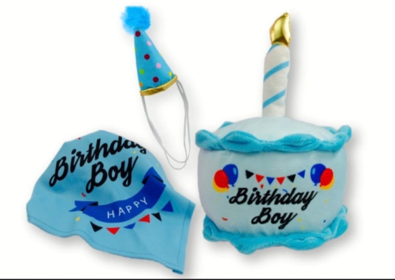 Kit de cumpleaños para mascota celeste