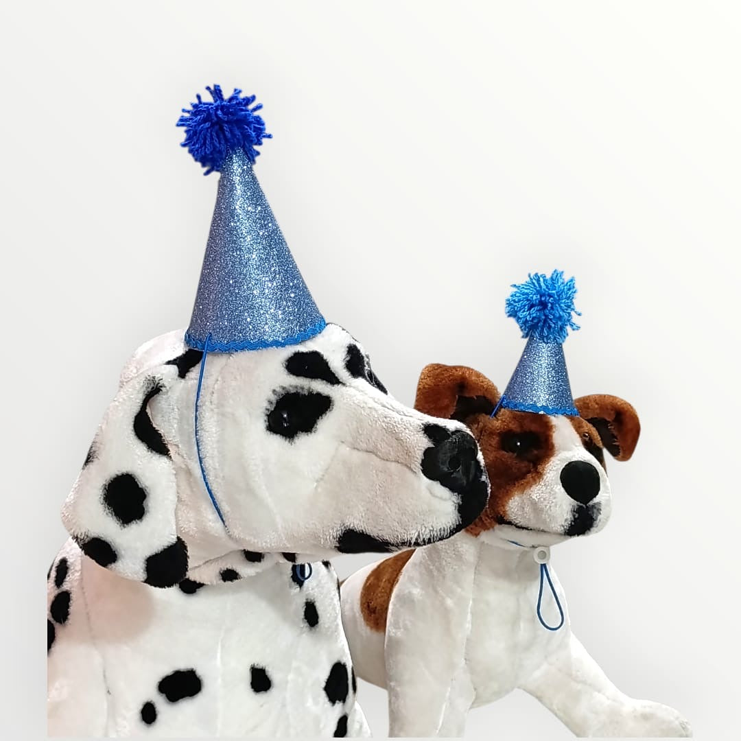 Gorro para mascota de cumpleaños celeste