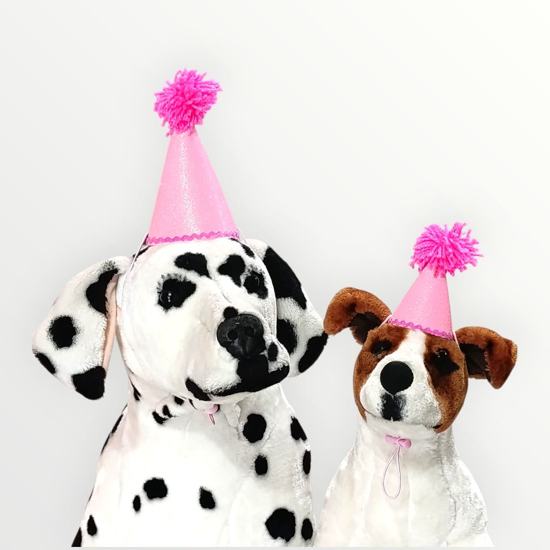 Gorro para mascota de cumpleaños rosa