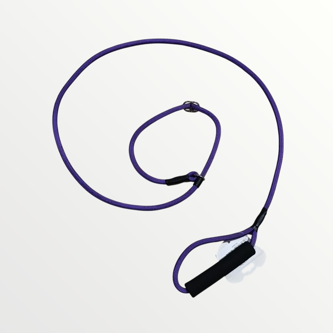 Correa y collar de castigo delgada