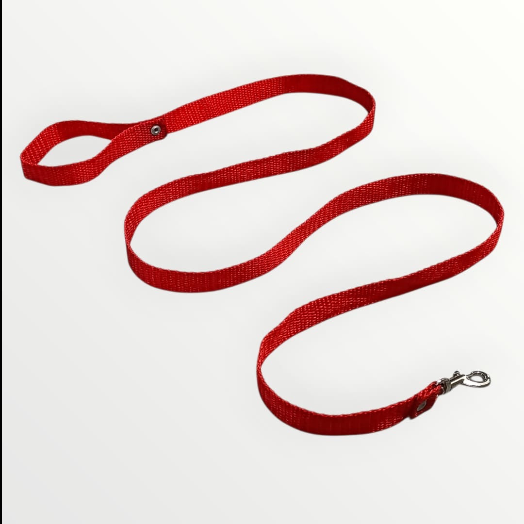 Correa nylon económica