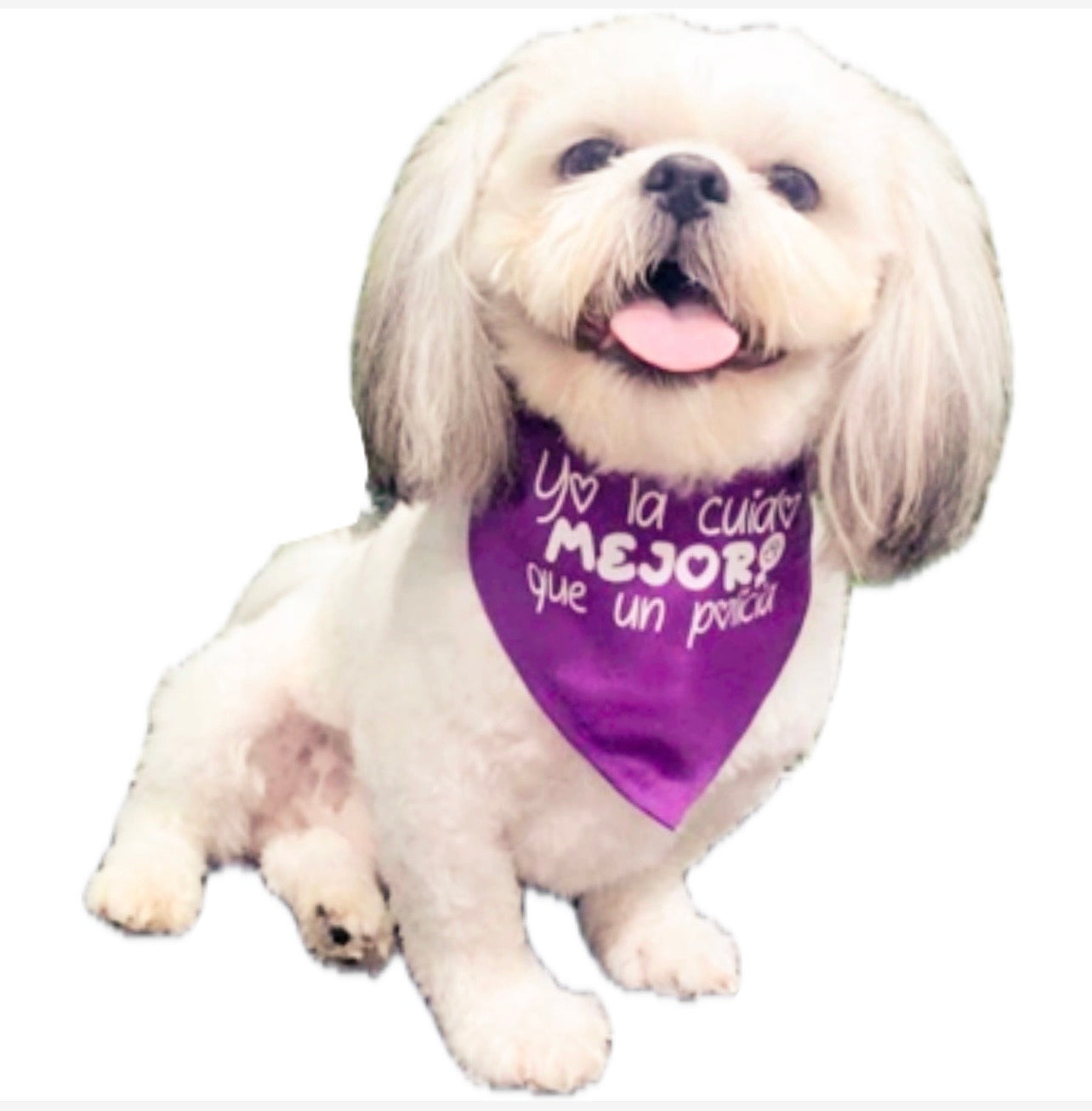 Bandana Dia de la mujer #8M