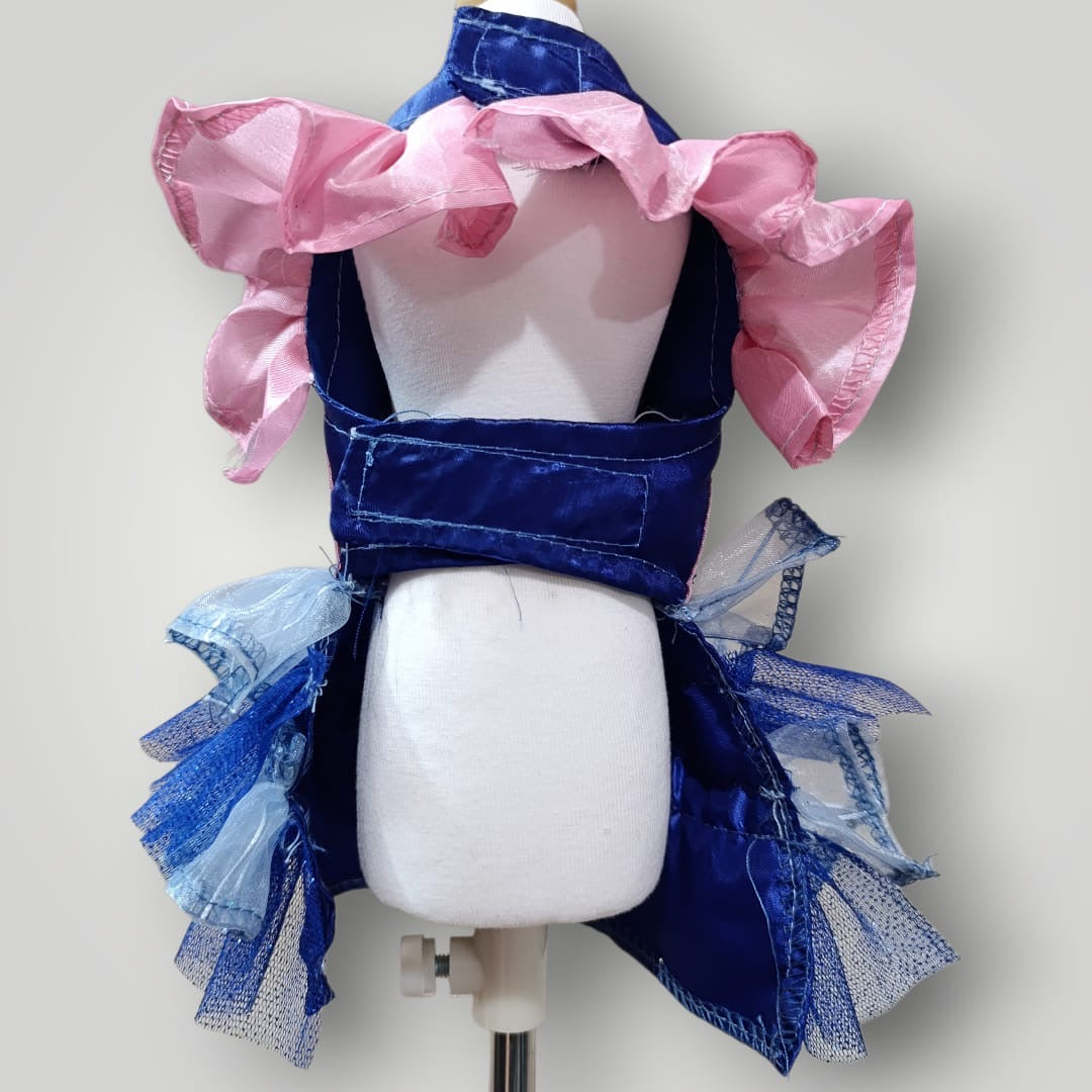 Vestido olanes Bluey