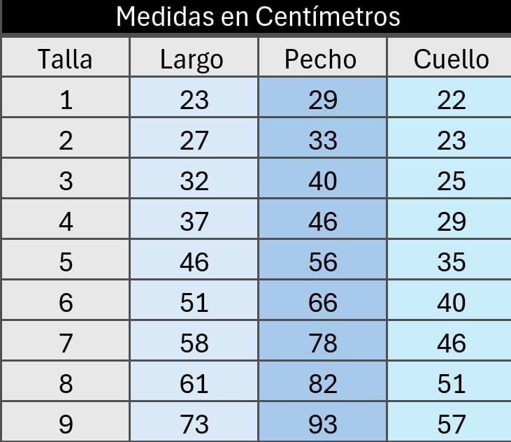 Kit de cumpleaños playera y gorro