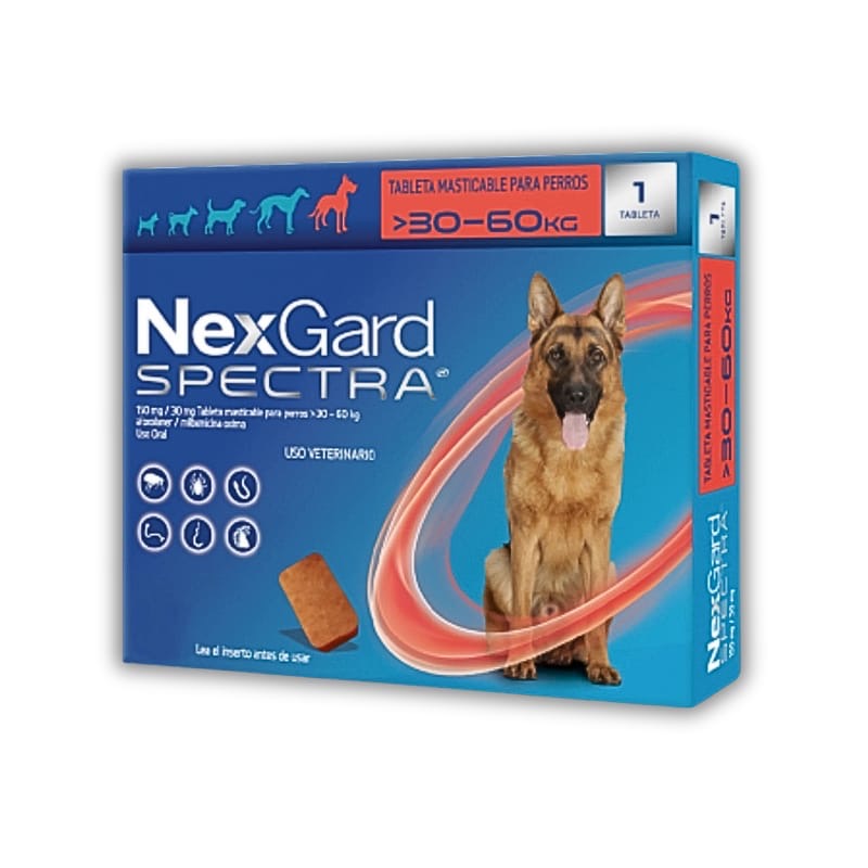 Pastilla antipulgas y garrapatas NexGard para perro