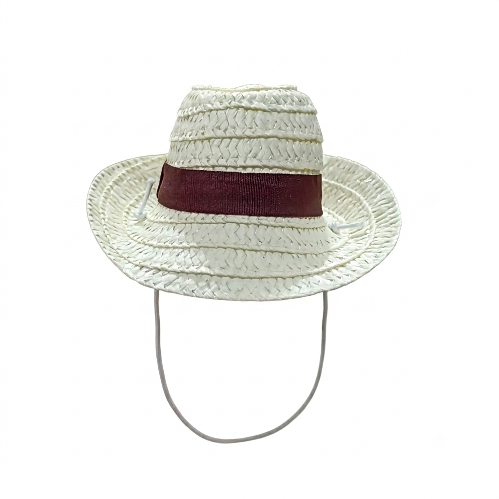 Sombrero norteño chico