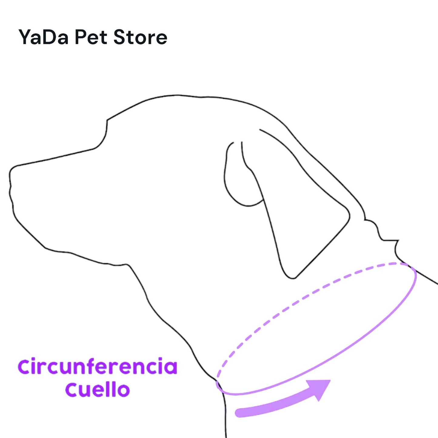 Bandana para Perro ó Gato - Anuncio de Embarazo - Big Brother NEGRO