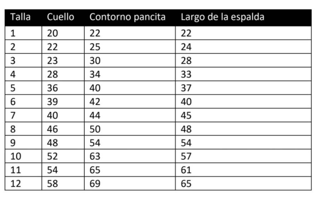 Disfraz de chilindrina