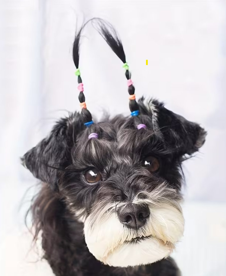 Ligas para perro con pelo largo