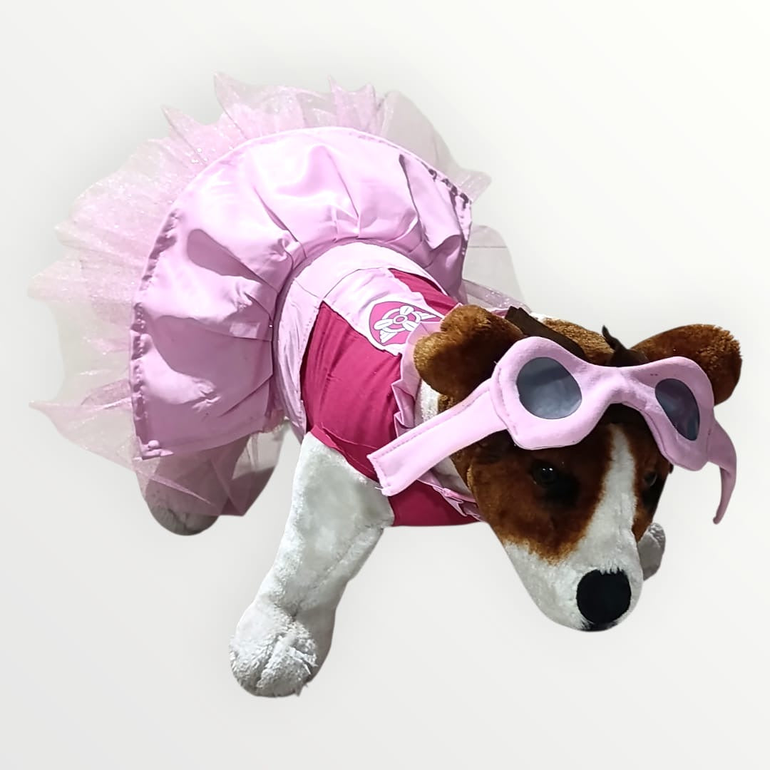 Disfraz de Skye Paw Patrol