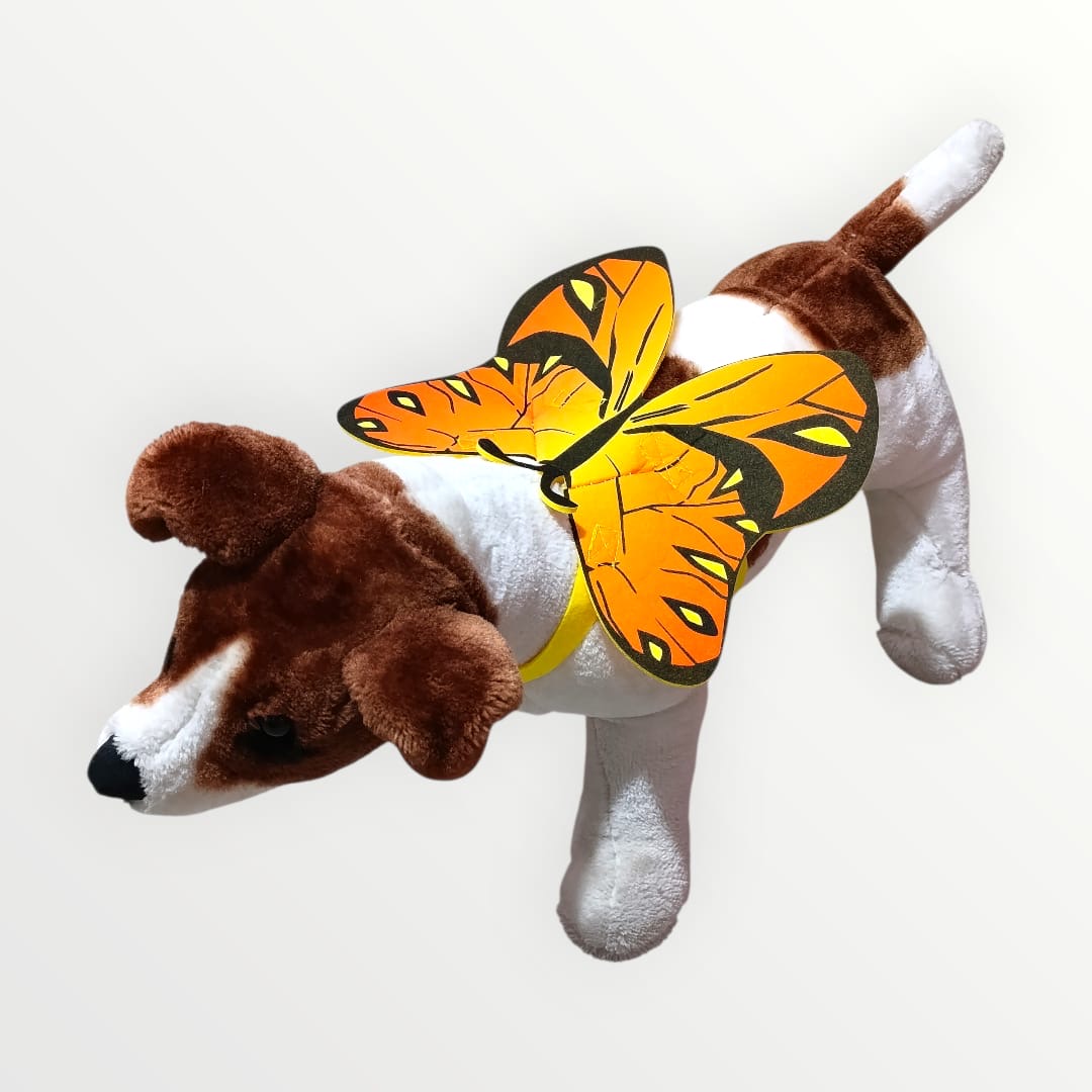 Alas de mariposa monarca para mascota