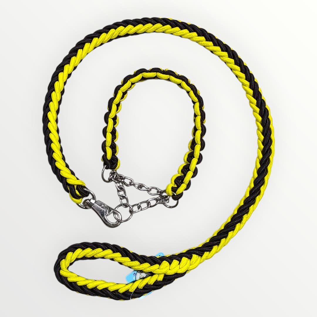 Collar con correa trenzado
