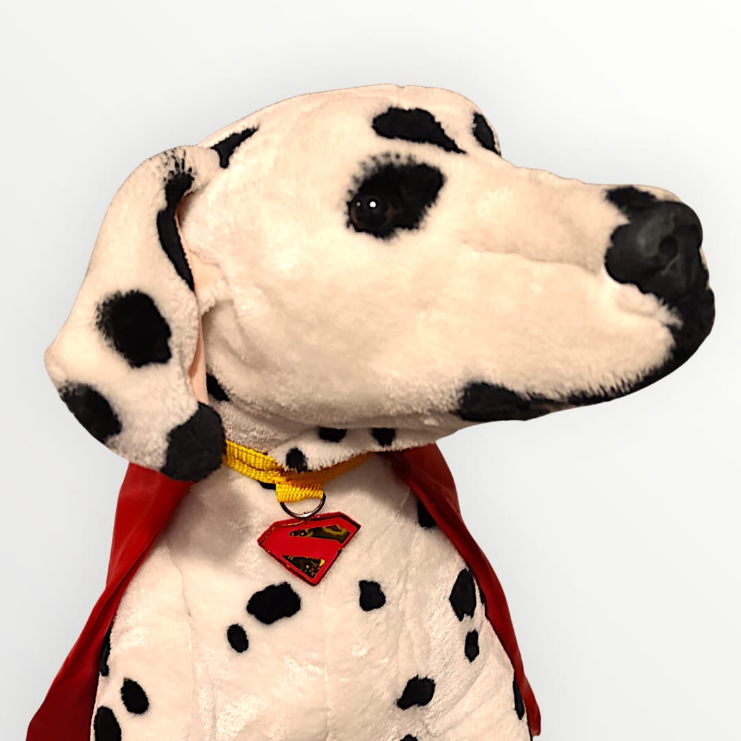 Disfraz capa de krypto superman