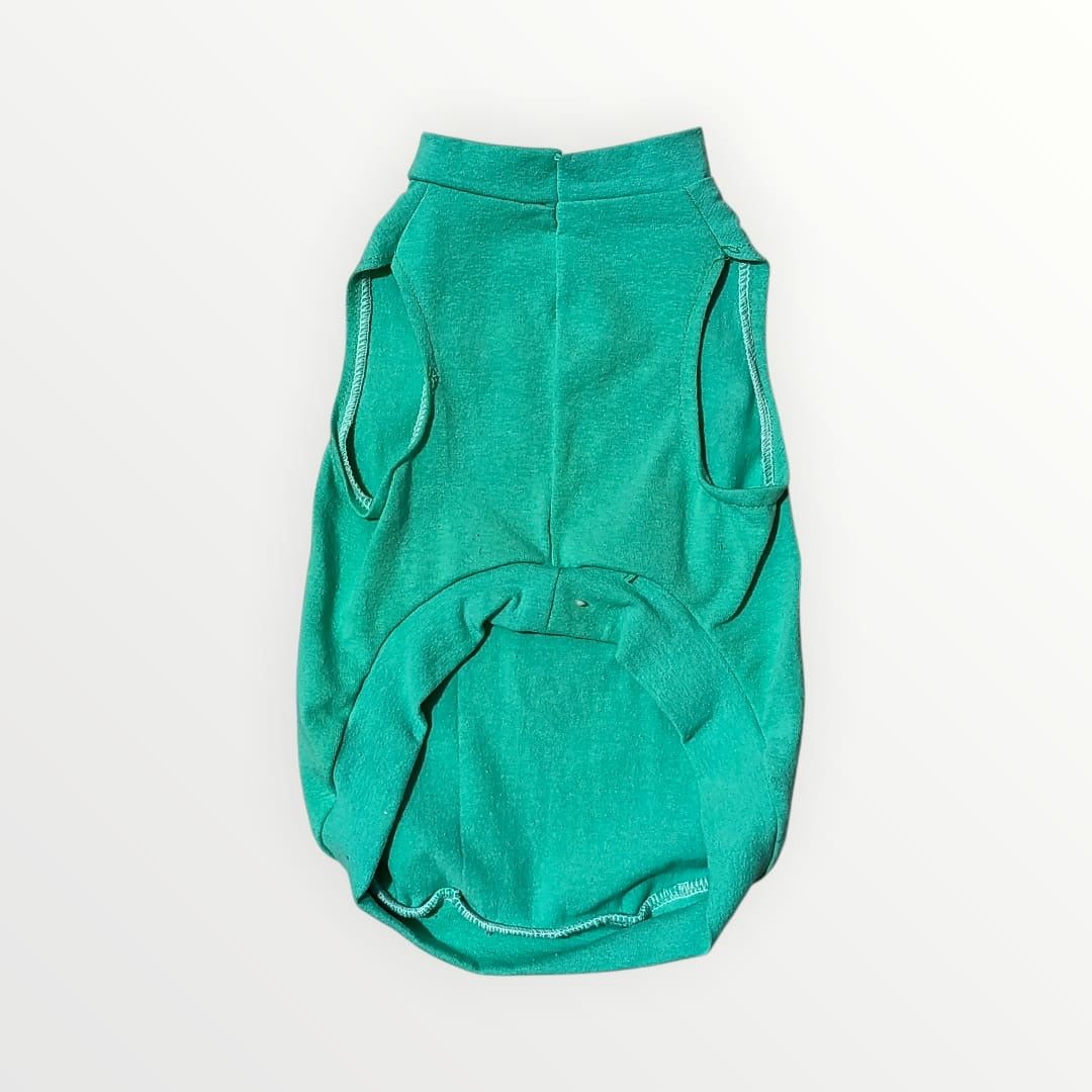 Playera cumpleaños para mascota