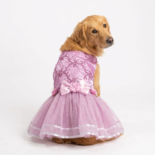 Vestido XV años para mascota