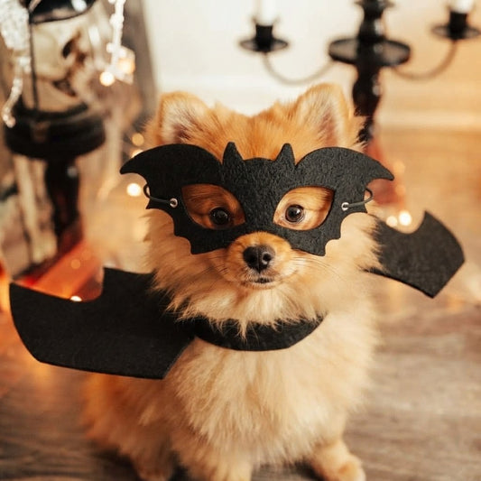 Disfraz de murciélago para perro