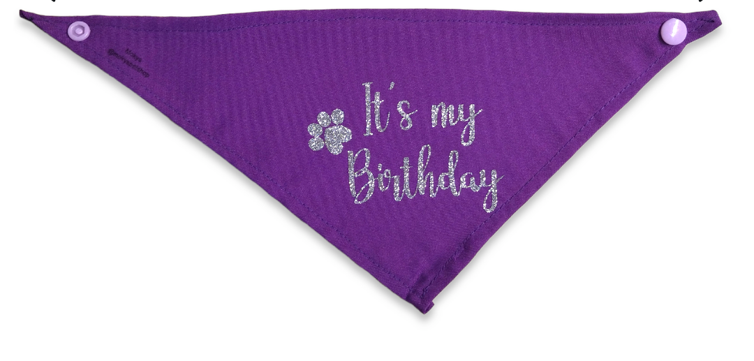 Kit de cumpleaños morado para mascota