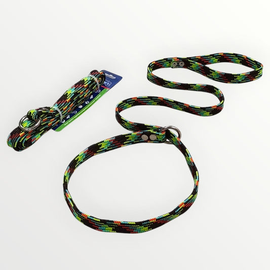 Correa con collar de castigo plana