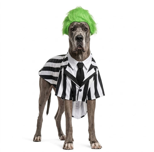 Disfraz de Beetlejuice