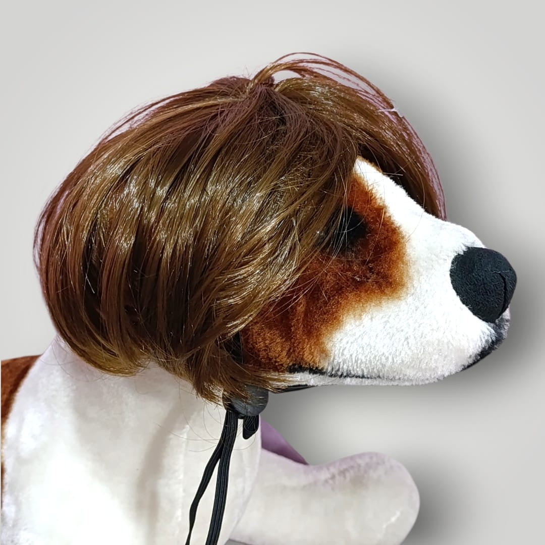Peluca para mascota
