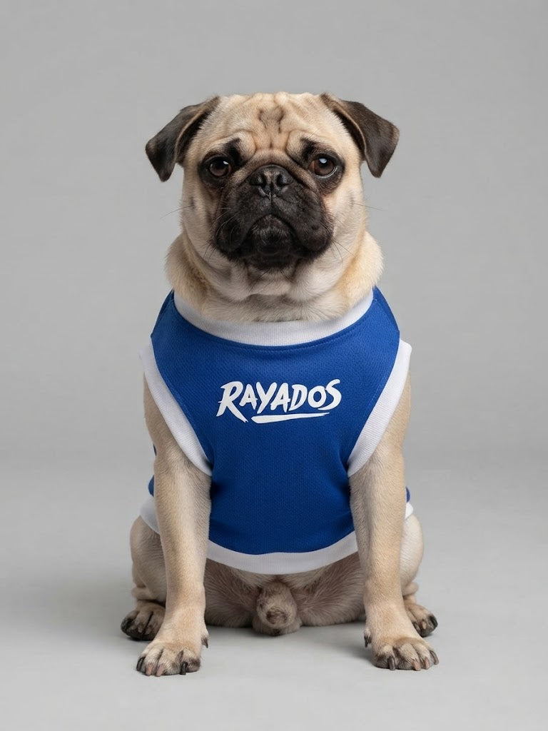 Playera Jersey de Rayados para Mascota