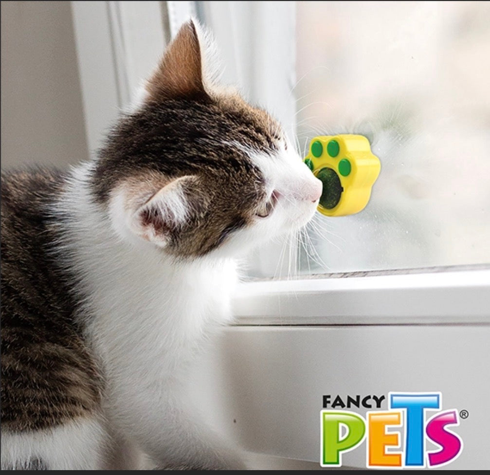 Catnip para gato fancy pets