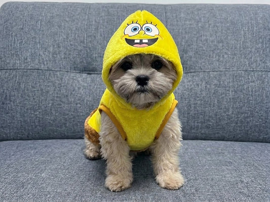 Suéter Bob Esponja Para Mascota