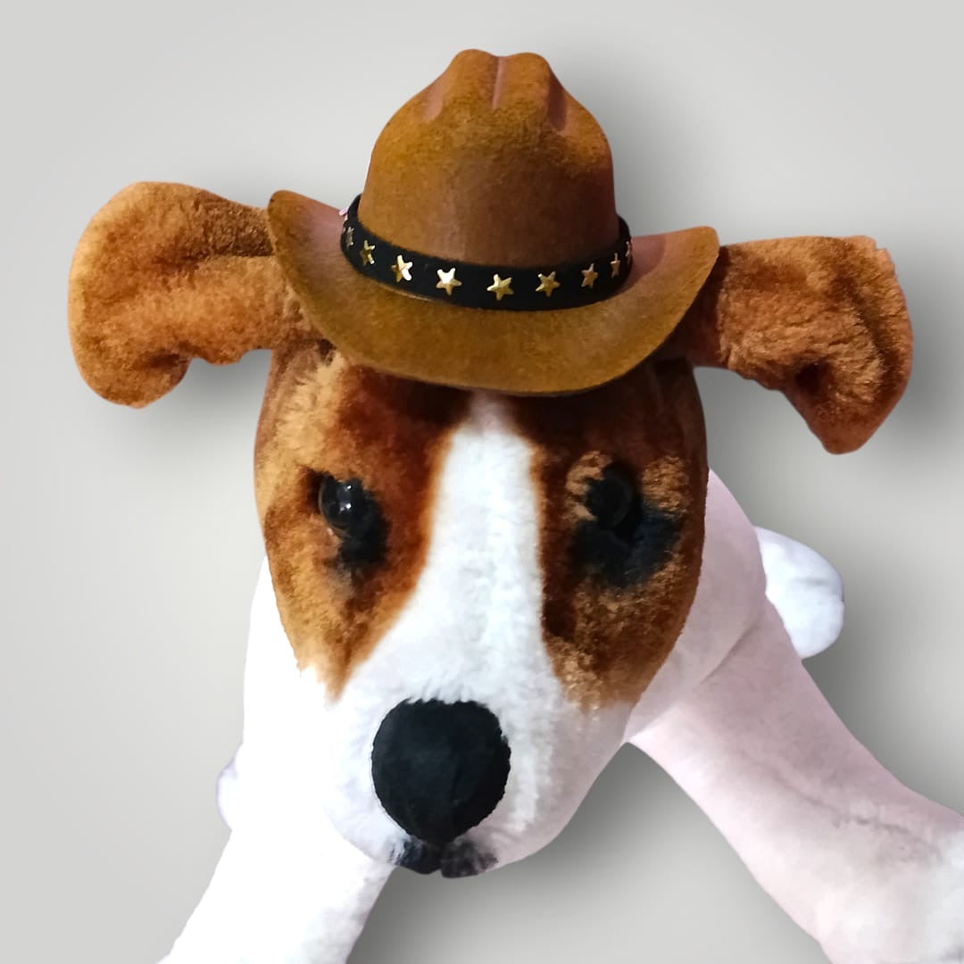 Sombrero vaquero para mascota