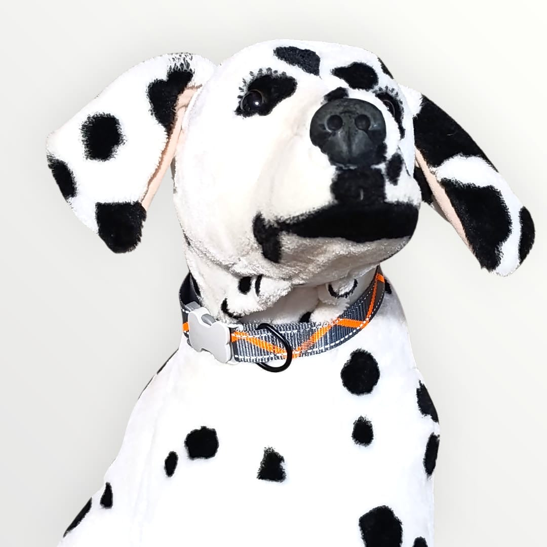 Collar para raza grande nylon