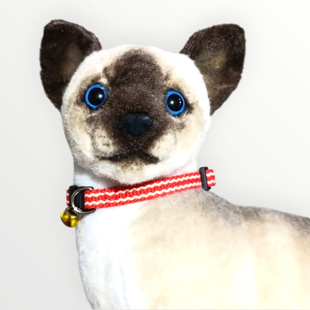 Collar sencillo militar para gato