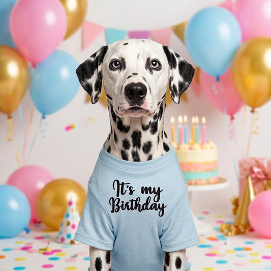 Playera Cumpleaños Celeste para Mascota