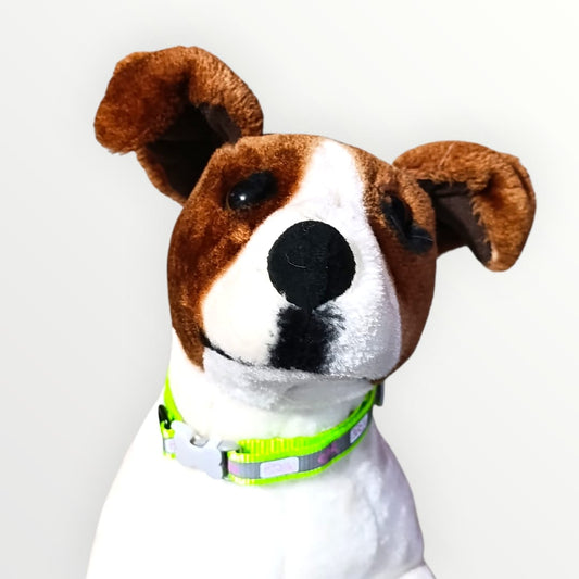 Collar reflejante para razas medianas