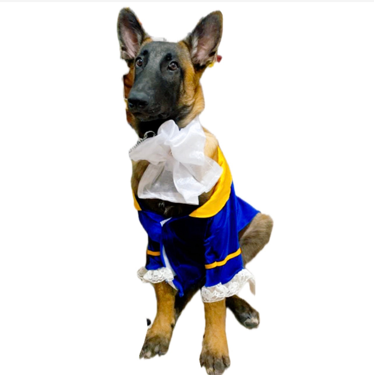 Disfraz de la bestia