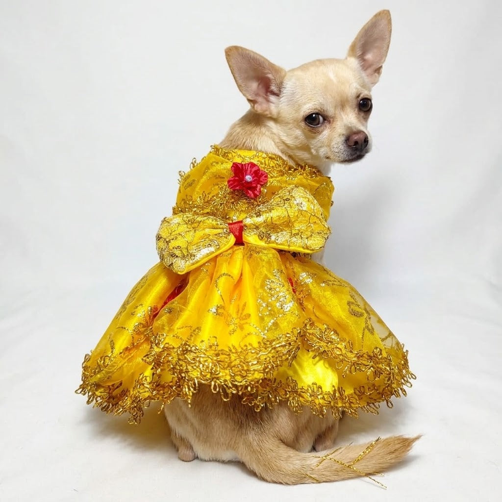 Disfraz princesa Bella