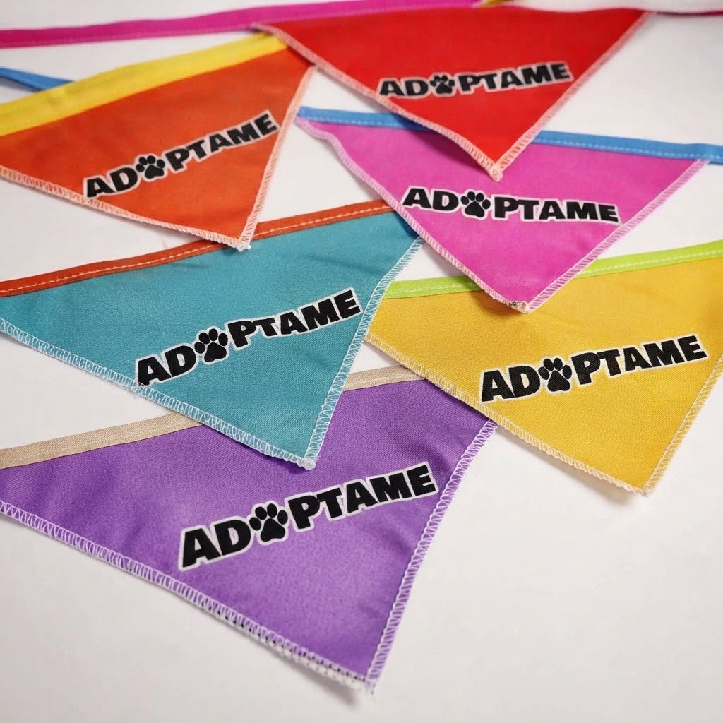 Paquete de 15 pzas de Paliacates ADOPTAME
