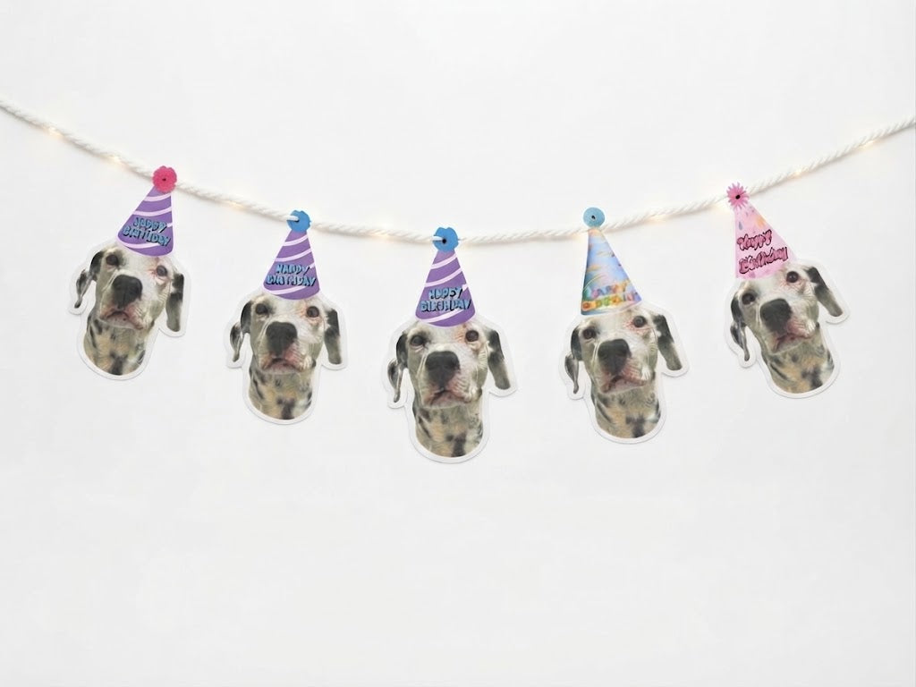Banderín y Gorro de Cumpleaños Para Mascota