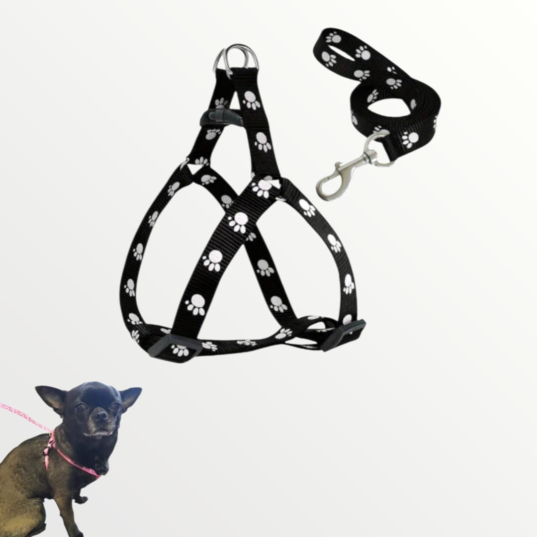 Pechera de listón para cachorro o gato