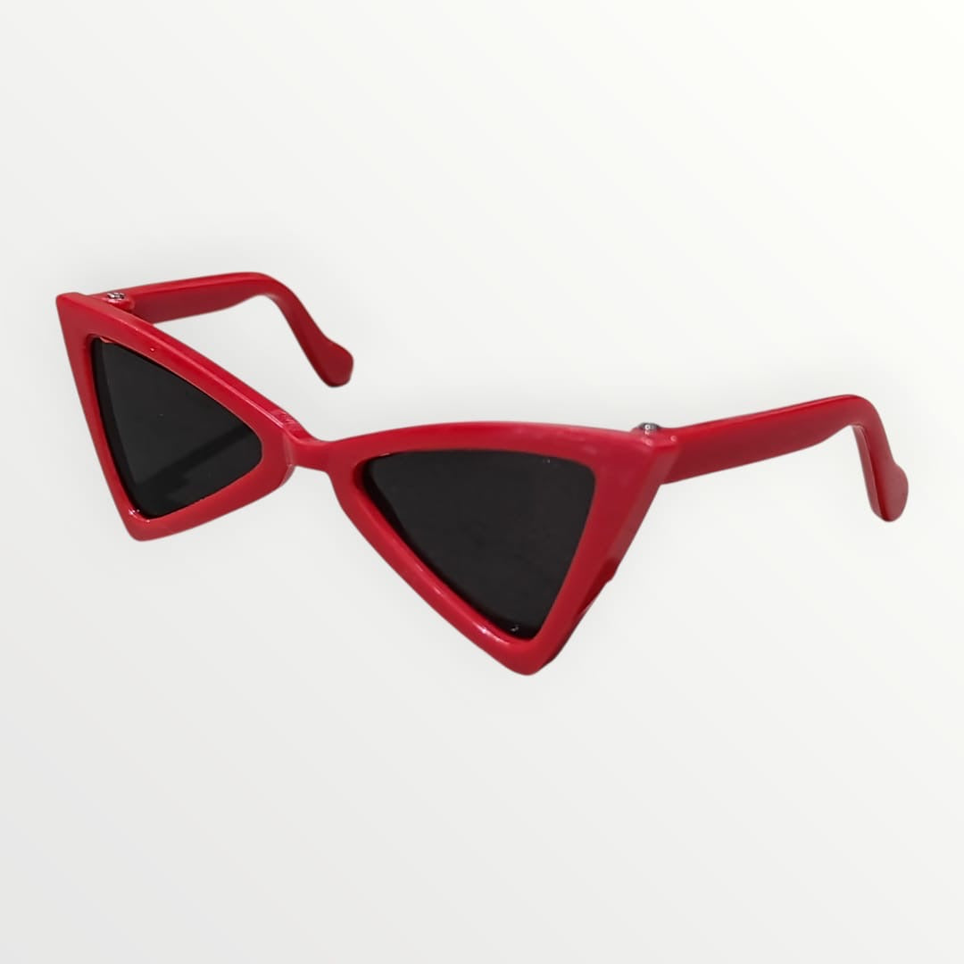 Lentes chicos para mascota