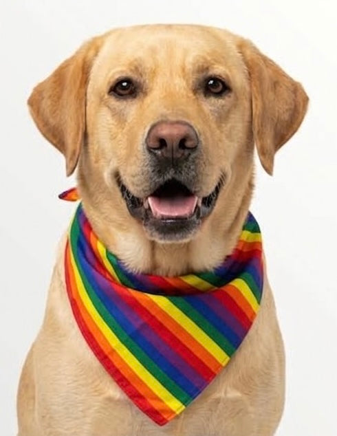 Bandana PRIDE para perro grande