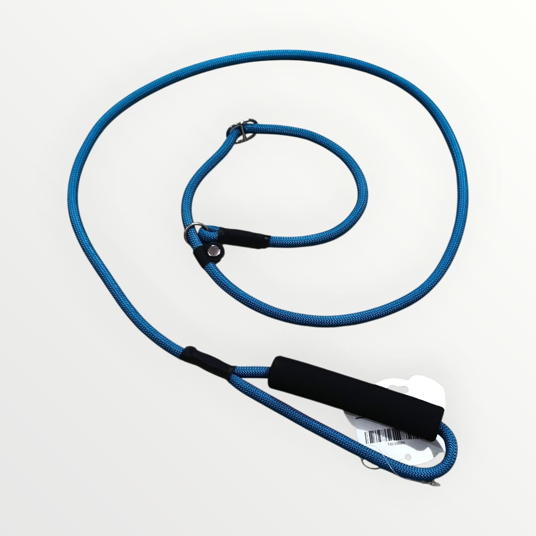 Correa y collar de castigo delgada