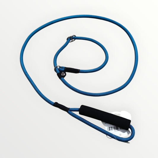 Correa y collar de castigo delgada