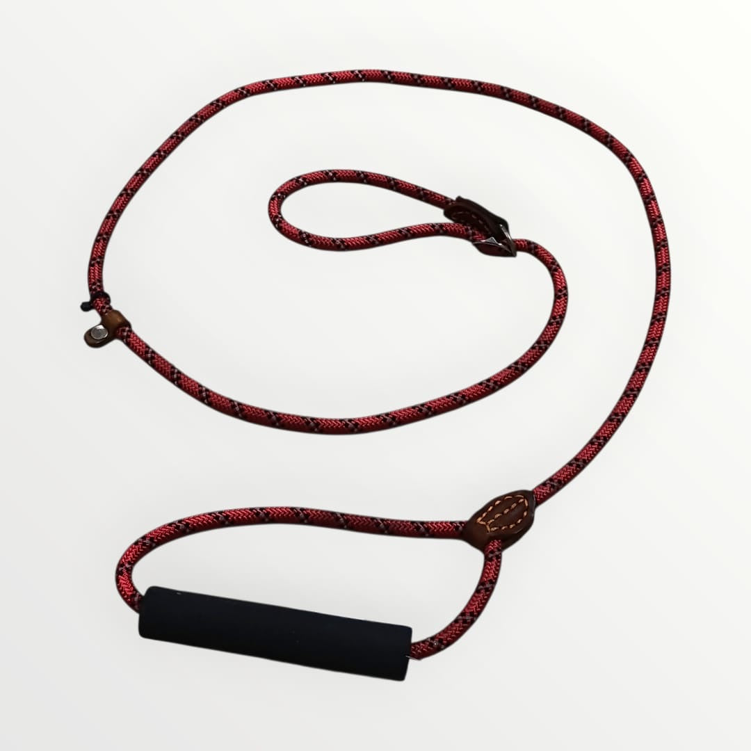 Correa y collar de castigo delgada