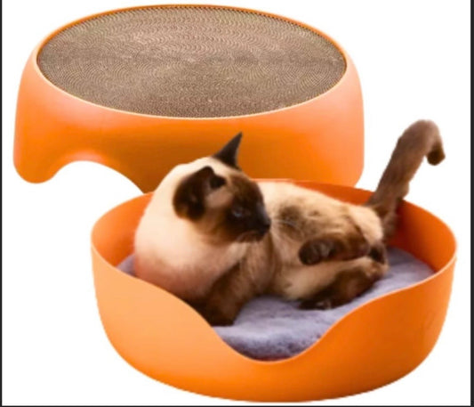 Juguete rascador y cama para gato