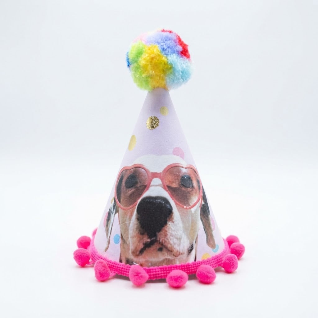 Banderín y Gorro de Cumpleaños Para Mascota