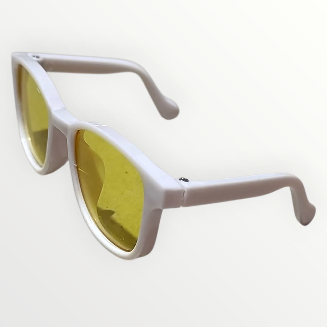 Lentes chicos para mascota