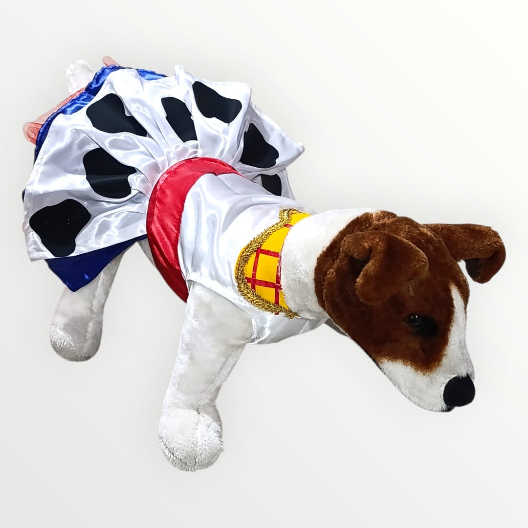 Disfraz de Jessie Toy Story