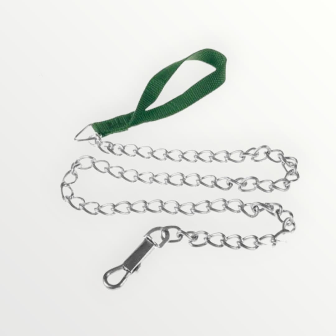 Correa de Acero para Perro