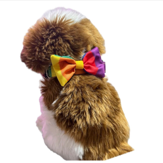 Collar con moño PRIDE