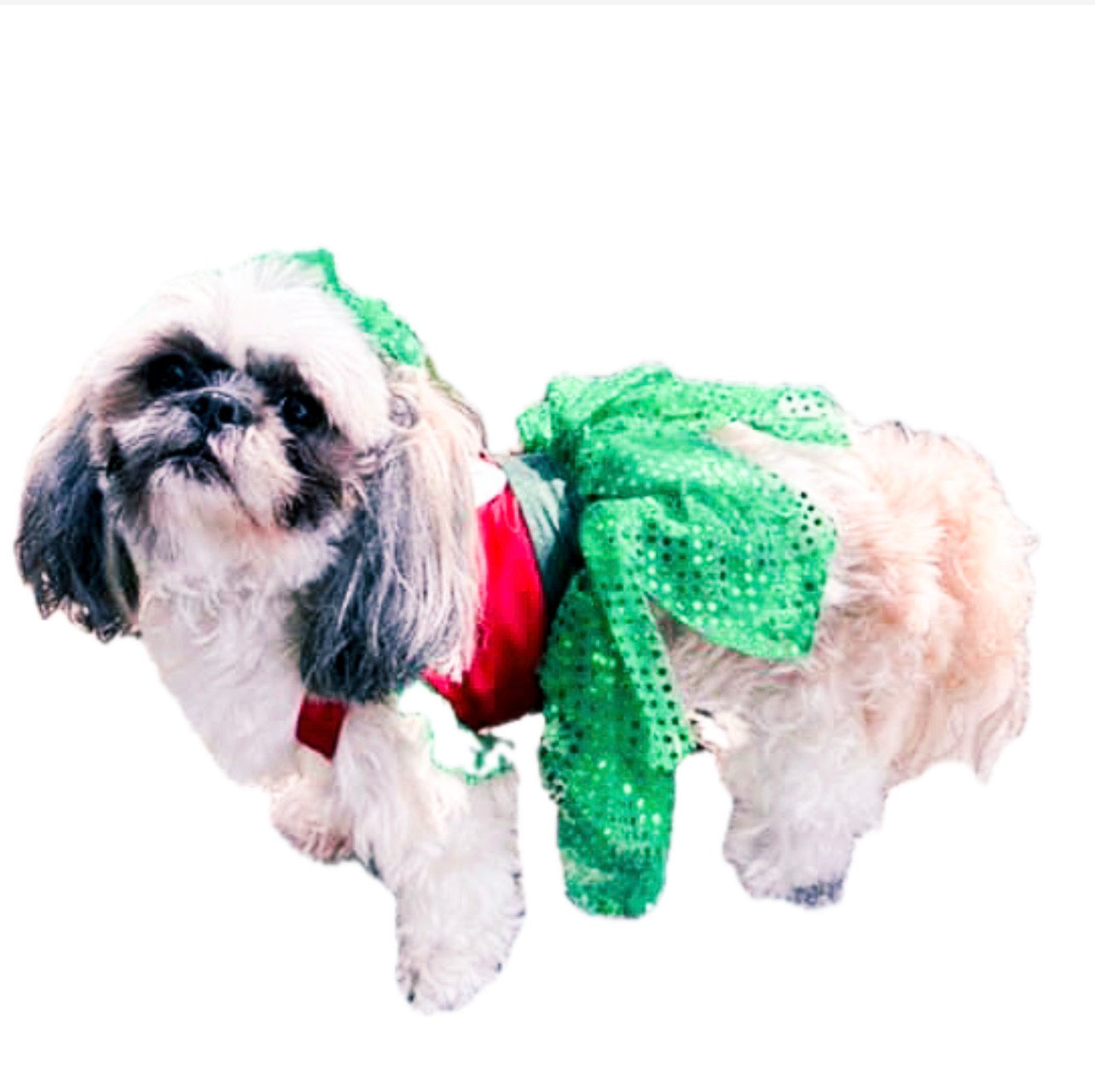 Disfraz de Lilo & Stitch