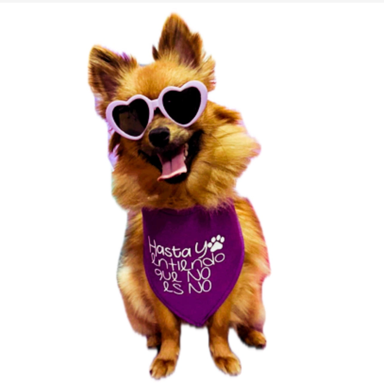 Bandana Dia de la mujer #8M